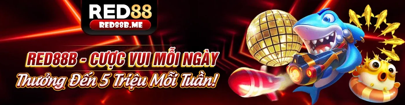 Hình ảnh tổng quan về chính sách quyền riêng tư của w88vt win